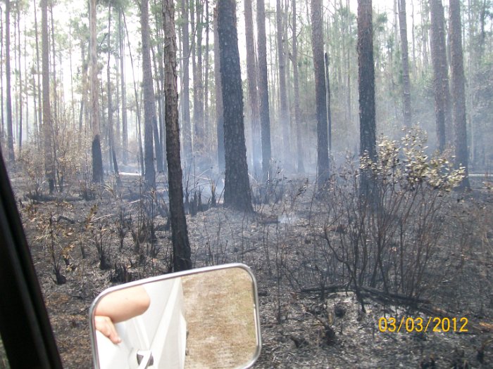 2012-Mar-03HGR4X4Richloam 146